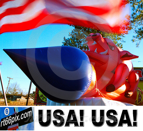 USA! USA! #1