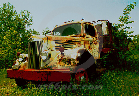 TRUCK WITH TREE (NE)