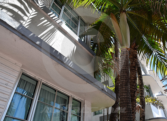 MIAMI BEACH #207 (Miami Beach FL)