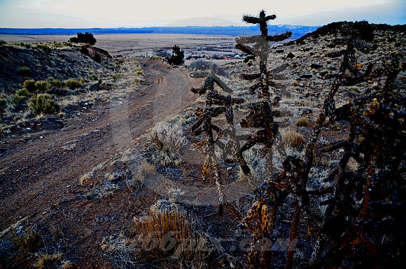 NEAR TOP LOOKING DOWN (Rt 66 La Bajada NM)