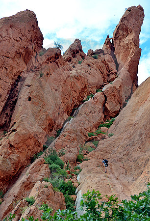 COLORADO STYLE #9 (Colorado Springs CO)