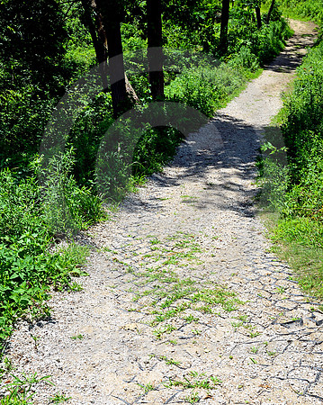 HILL & CURVE (Lincoln Highway nr Honey Creek IA)