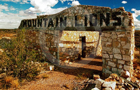 MOUNTAIN LIONS #1 (Rt 66 Two Guns AZ)