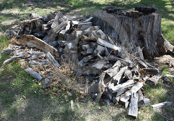 BOGGSVILLE #3 (nr Las Animas CO)